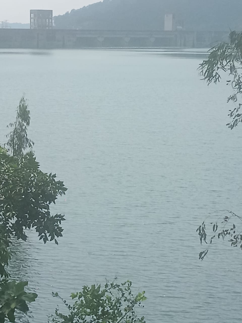 गोबिंदसागर झील में जलस्तर खतरनाक स्तर की ओर लगातार बारिश से बढ़ा दबाव, प्रशासन ने सतर्क रहने की अपील की