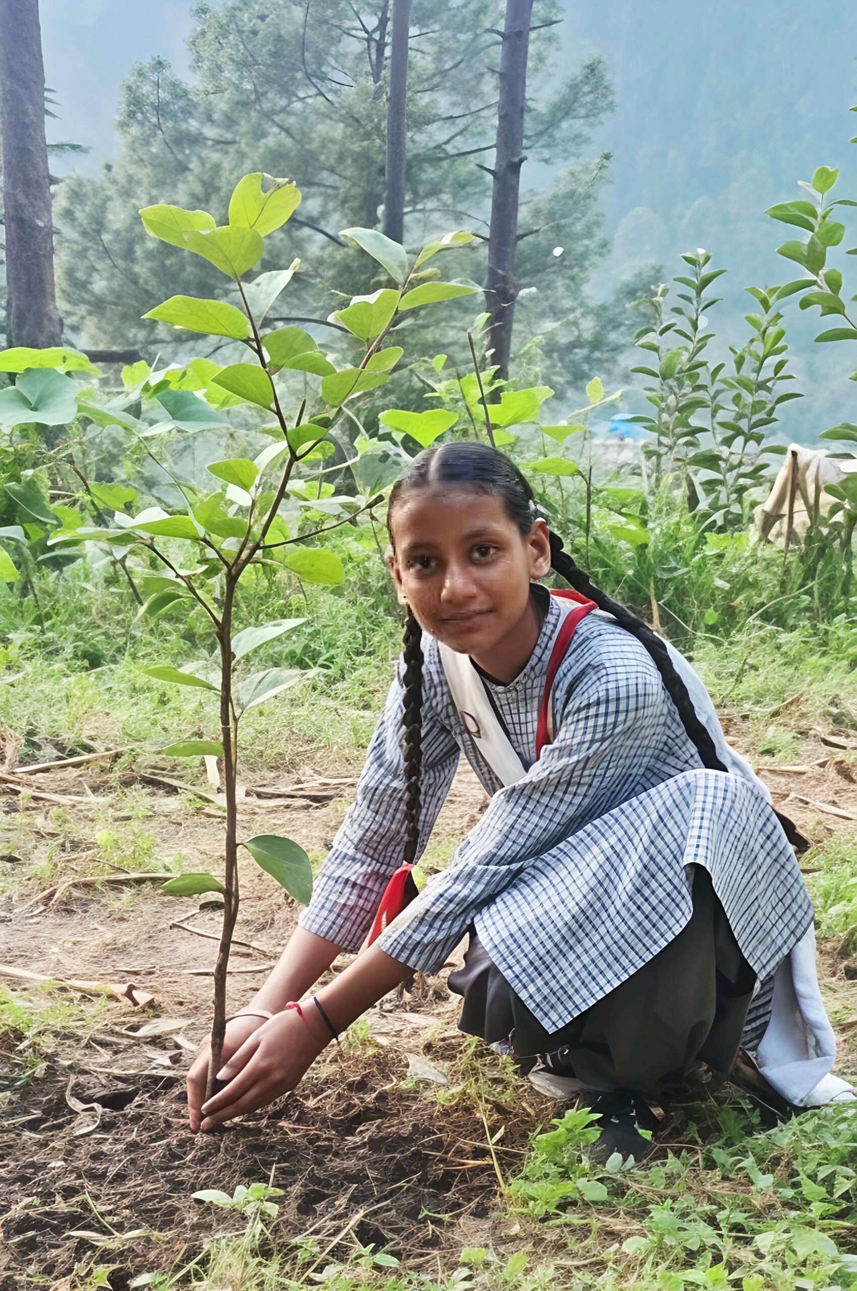 चौहार घाटी की बेटी कृतिका ने किया क्षेत्र का नाम रोशन, मेरिट में हासिल की शानदार सफलता